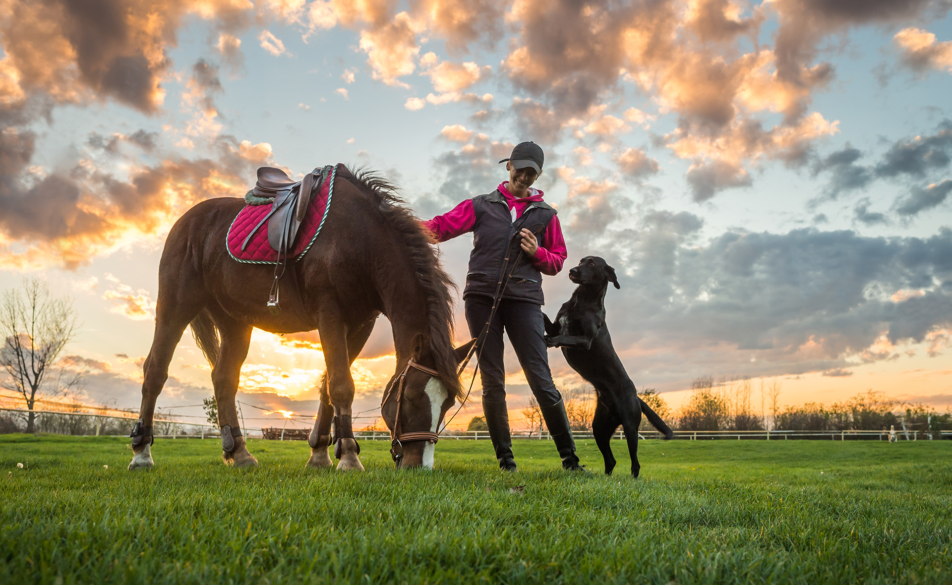 Horse and dog with their owner.